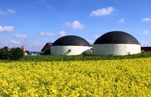 biogas