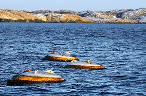 vågenergi